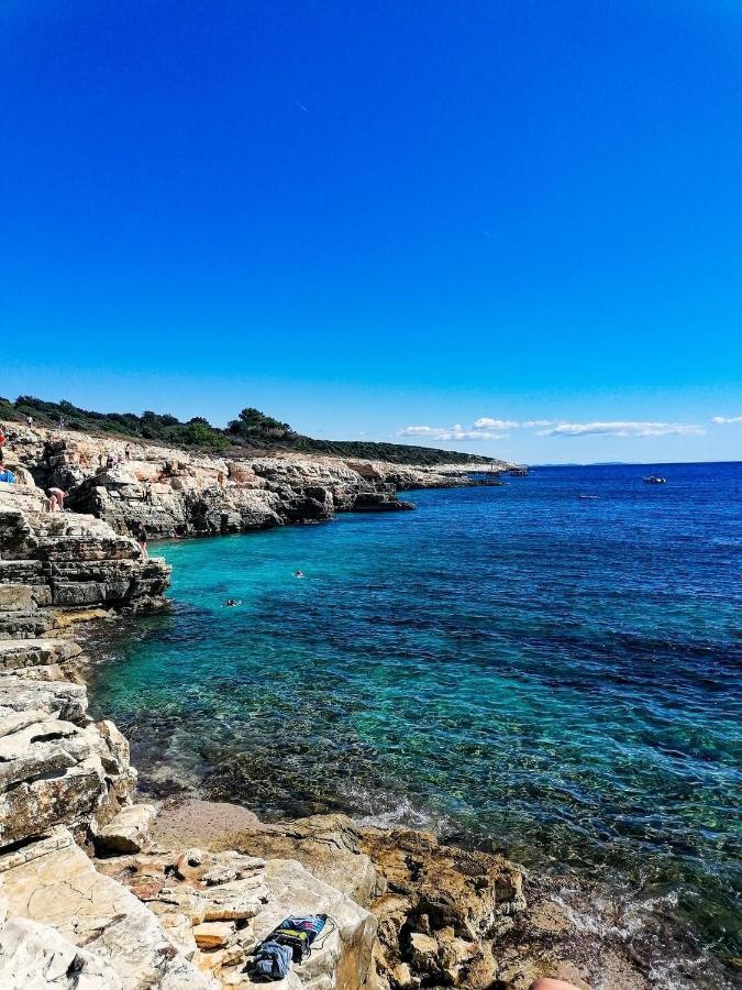 Villa Victoria Istra - Heated Pool Nova Vas  외부 사진